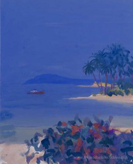 Off Coco Beach, Goa