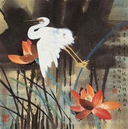 Lotus et oiseau