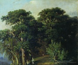 Paysage forestier avec des chiffres