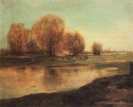 Saule par l'étang