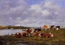 Pâturage, la vallée des touques