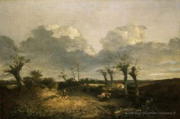 Route avec des purnes