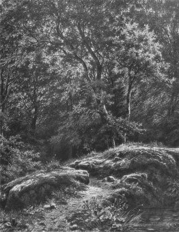 Path dans la forêt