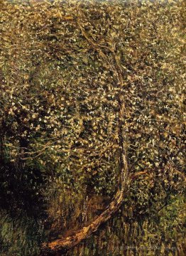 Pommiers en fleur au bord de l'eau