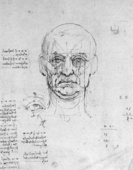Étude sur les proportions de la tête et des yeux