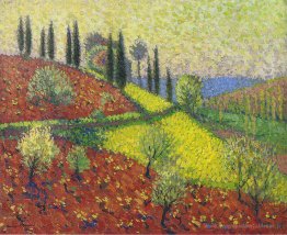 Arbres chypre sur la colline