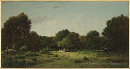 Claitement dans la forêt haute de Fontainebleau Forest X, a décl