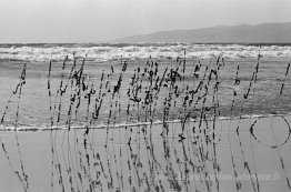 Cheveux et fil, plage de Venise