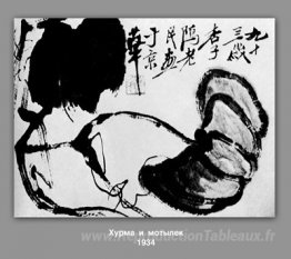 Kaki et papillon