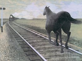 Cheval et train