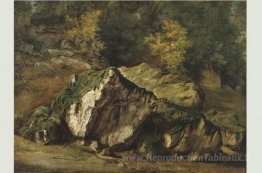 Étude des rochers