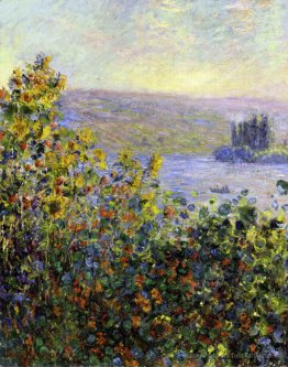 Lits de fleurs à Vetheuil