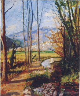 Vue sur la rivière Var
