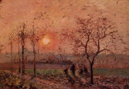 Coucher de soleil