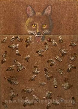 Série Over et au-dessus (FOX)