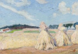 Backs de foin