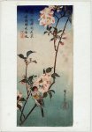 Oiseau et fleur