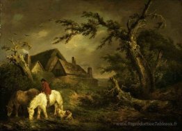 Arroser les chevaux