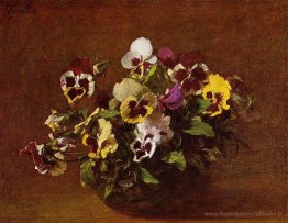 Volets