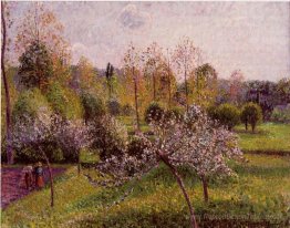 Pommiers en fleurs, Eragny