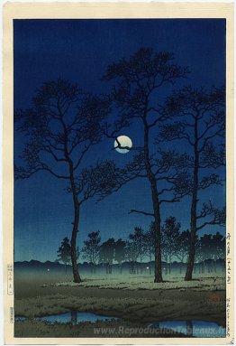 Lune d'hiver sur Toyama Plain