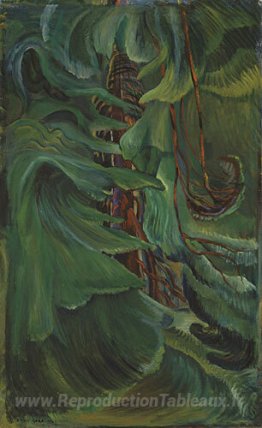 Cèdre
