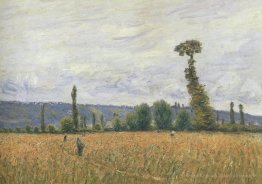Les collines de La Bouille