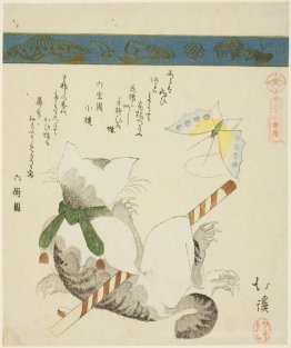 Chat jouant avec un papillon jouet