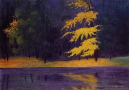Le lac dans le Bois de Boulogne