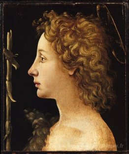 Le jeune Saint Jean le baptiste