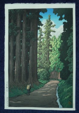 La route de Nikko