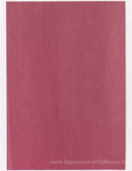 Échantillon de couleur pour la peinture (# 02'27)