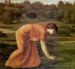Le souci de mars