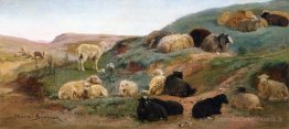 Mouton dans un paysage montagneux