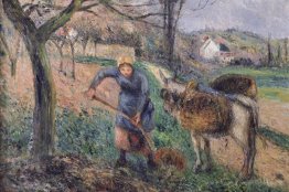 Paysage avec un âne