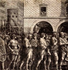 Les sénateurs