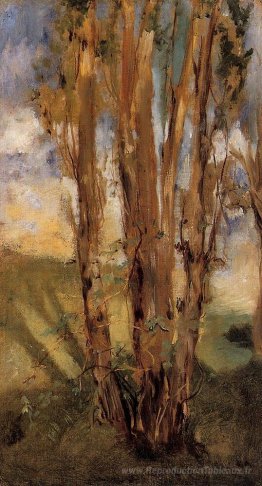 Étude des arbres
