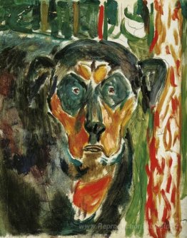 Tête d'un chien