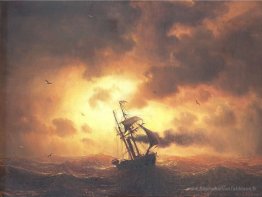 Stume au coucher du soleil