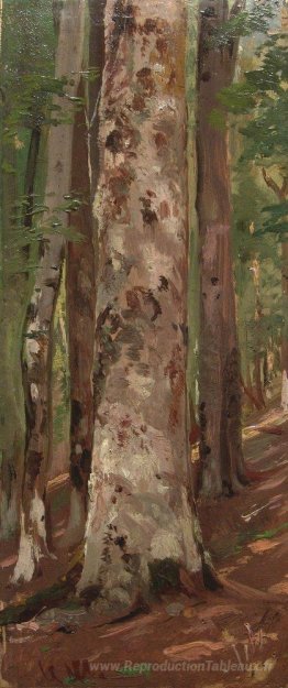 Forêt