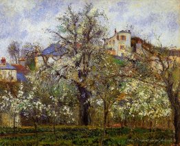 Le potager avec des arbres en fleur, printemps, pontoise