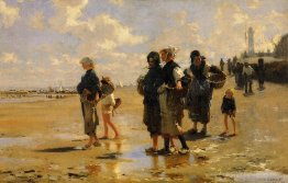 Pêche pour les huîtres à Cancale