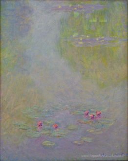 Nénuphars