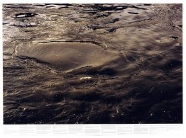 Sans titre (de la série Still Water (la Tamise de la rivière, pa