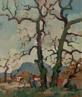 Bare Oaks, Newlands, fin automne