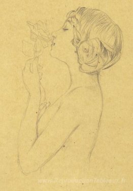 Dessins nus