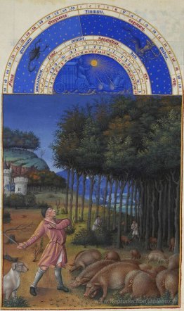 Novembre: nourrir des glands aux porcs