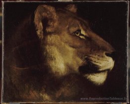 Le chef du lion