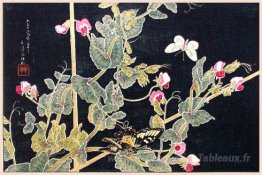 Sweetpeas et papillons
