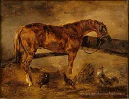 L'étude de Horse a tourné à droite avec trois poules et un coq